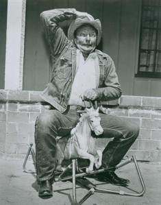 Comical Sidekick Pat Brady