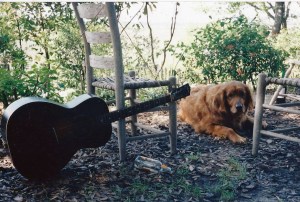 Bessie the Crone photograph by Jim Klein