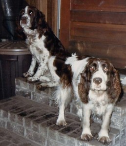 Jack and Sally  1986