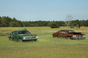 wilcox-county-ga-sibbie-road-abandoned-ford-mustang-chevrolet-chevy-chevelle-green-rusted-southern-gothic-americana-pictures-photo-copyright-brian-brown-vanishing-south-georgia-usa-2010