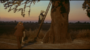 Fellini's "Little Person" nun from his film "Amarcord"