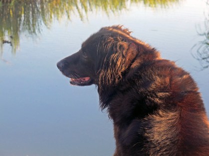 saisy profile (original)