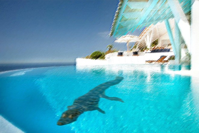 croc-in-pool