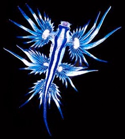 6a00d8341c030d53ef00e54f1f0f8e8834-800wi