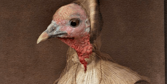 turkey with bonnet.png