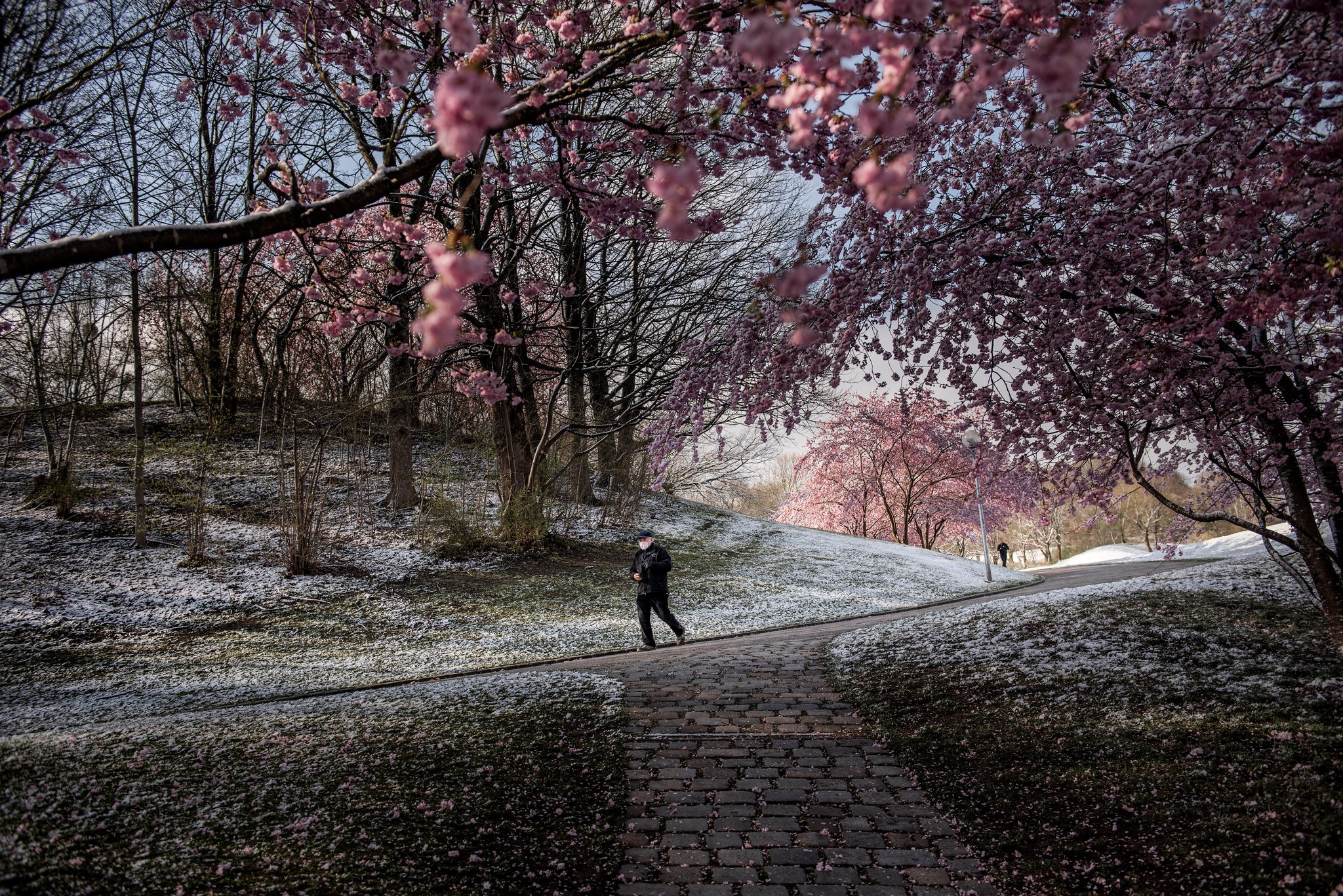 merlin_170836479_362a8ef3-904f-45c0-bdc7-7fd12416cfb0-superJumbo