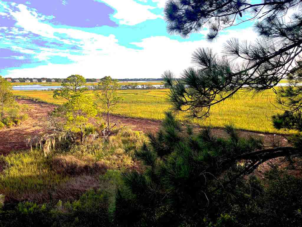 view from my bedroom window